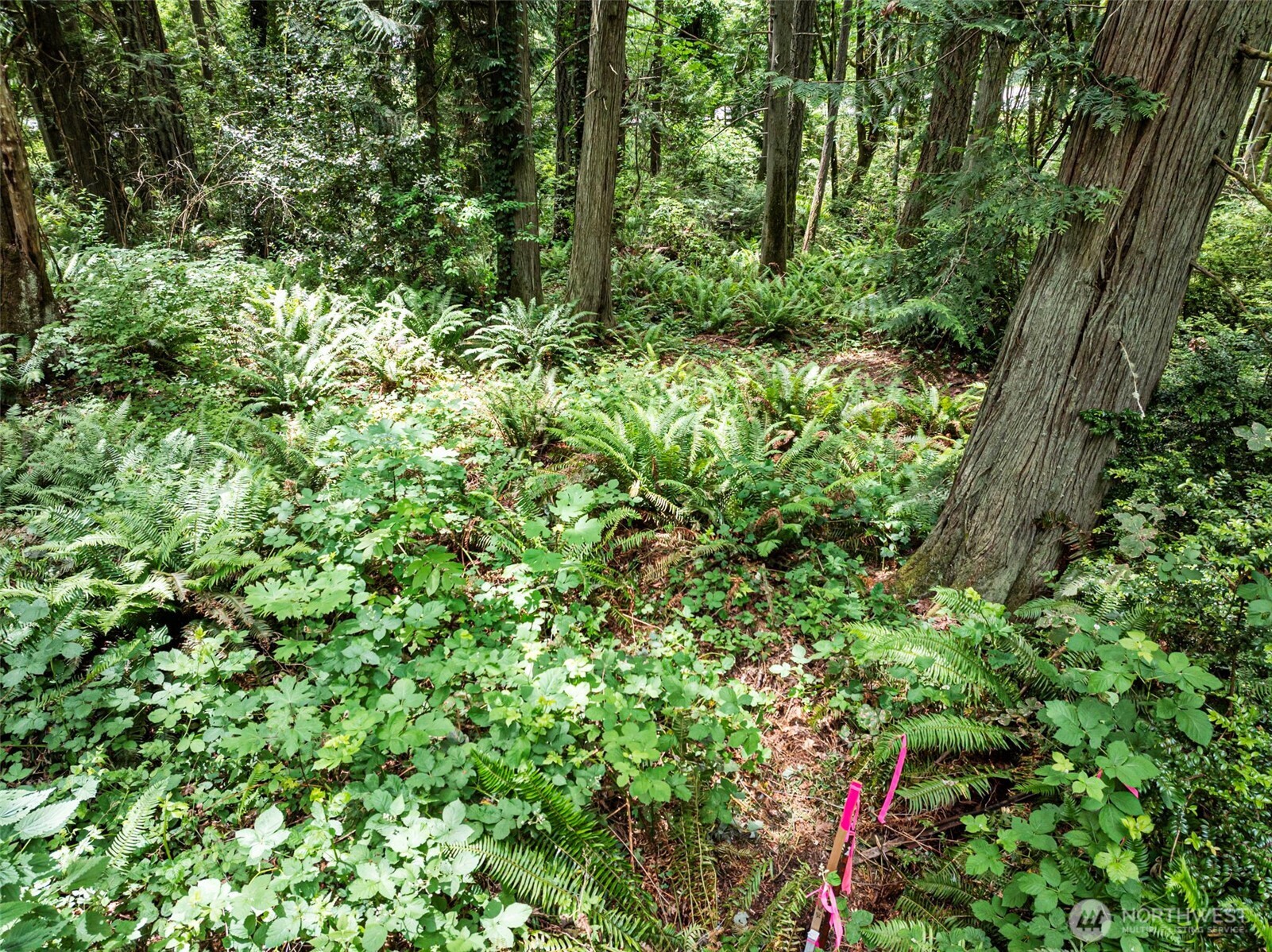 5412 46th Street Ct NW