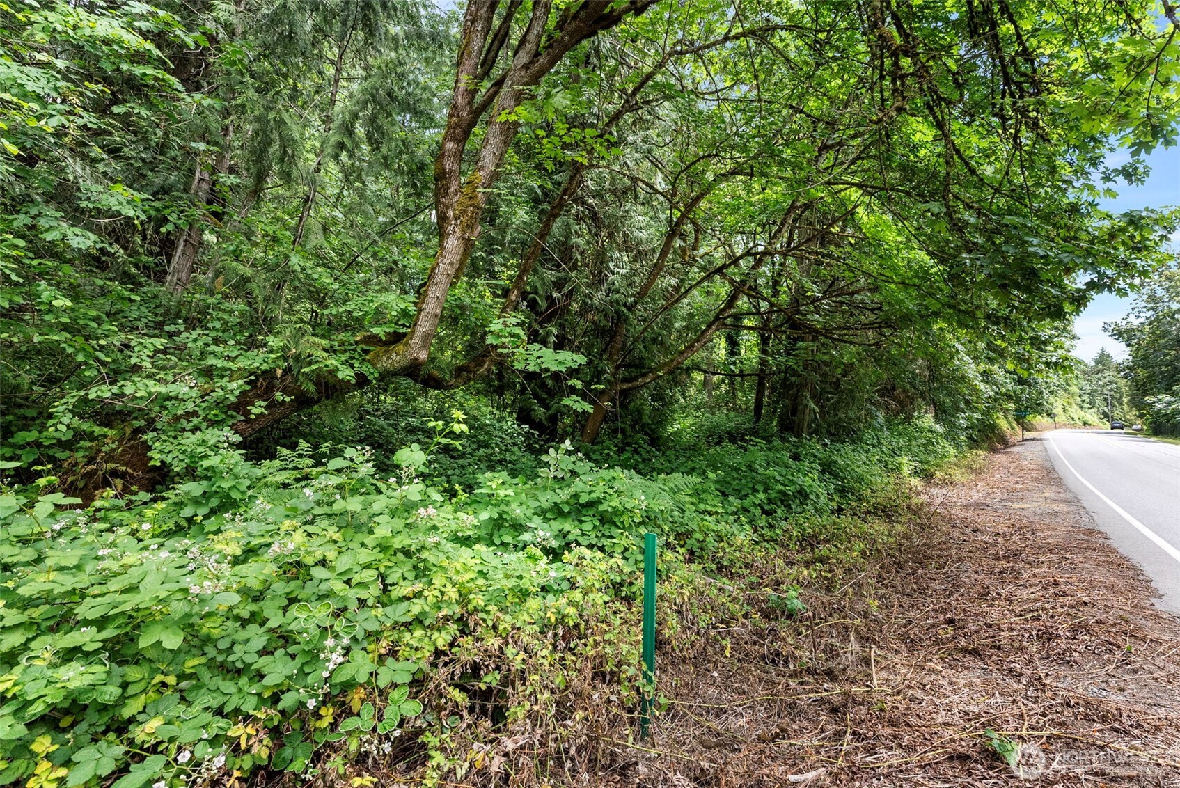 5412 46th Street Ct NW