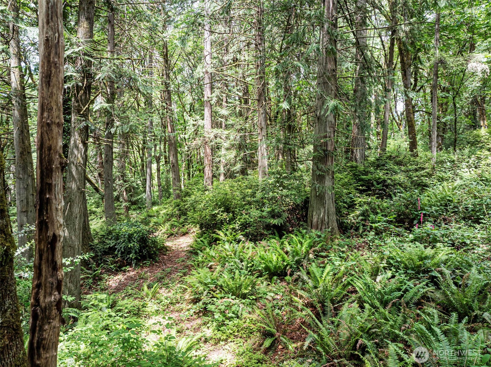 5412 46th Street Ct NW