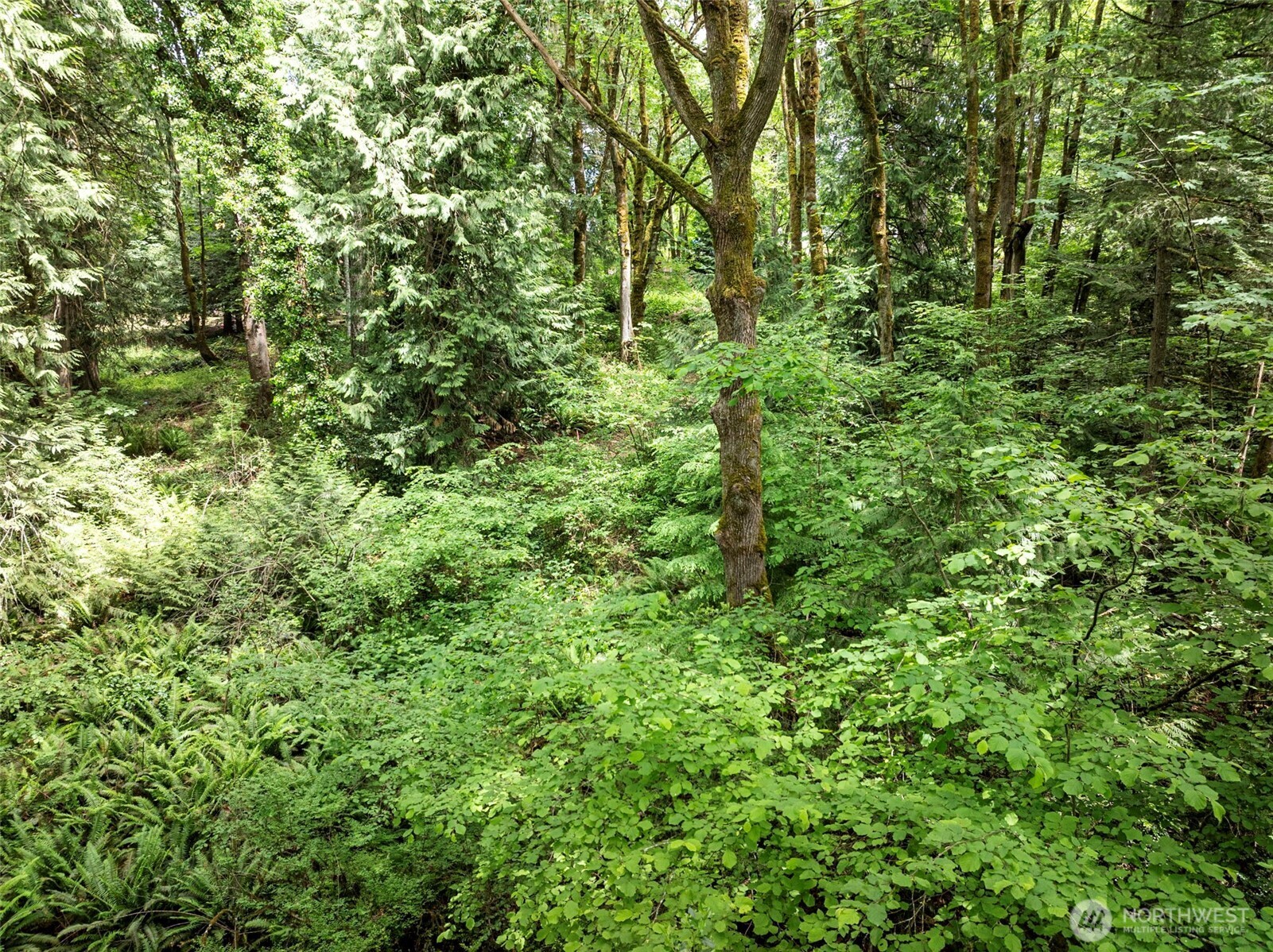 5412 46th Street Ct NW