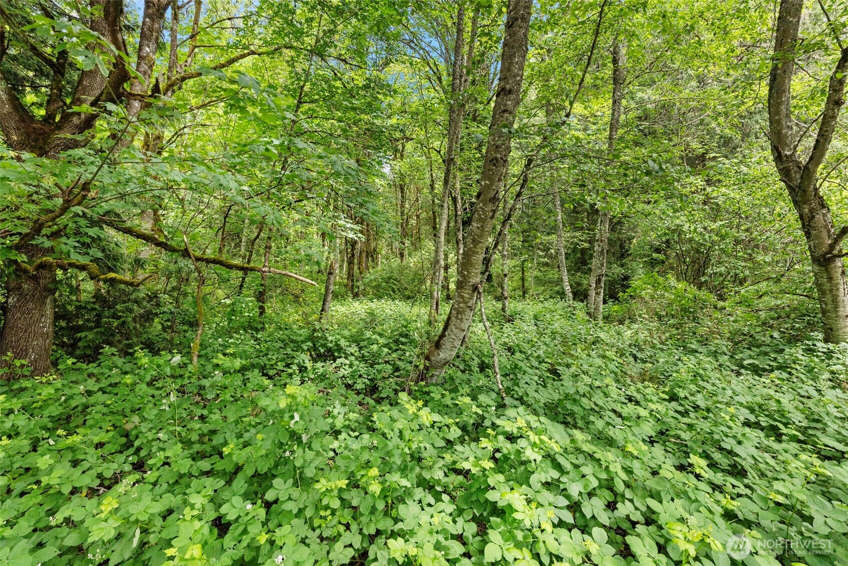 5412 46th Street Ct NW