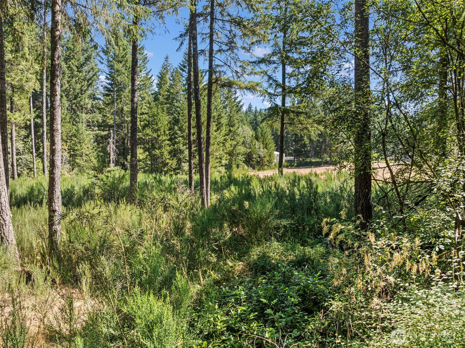 14446 Spindrift Lane SW
