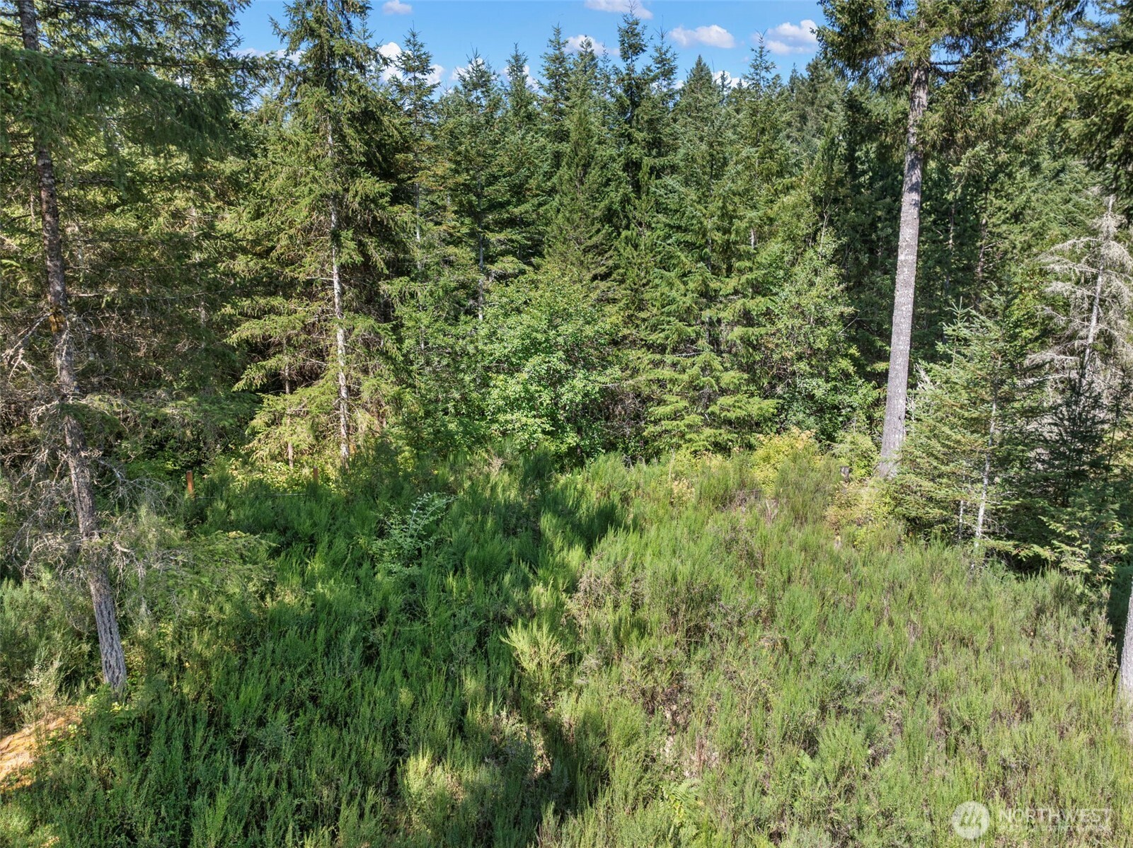 14446 Spindrift Lane SW