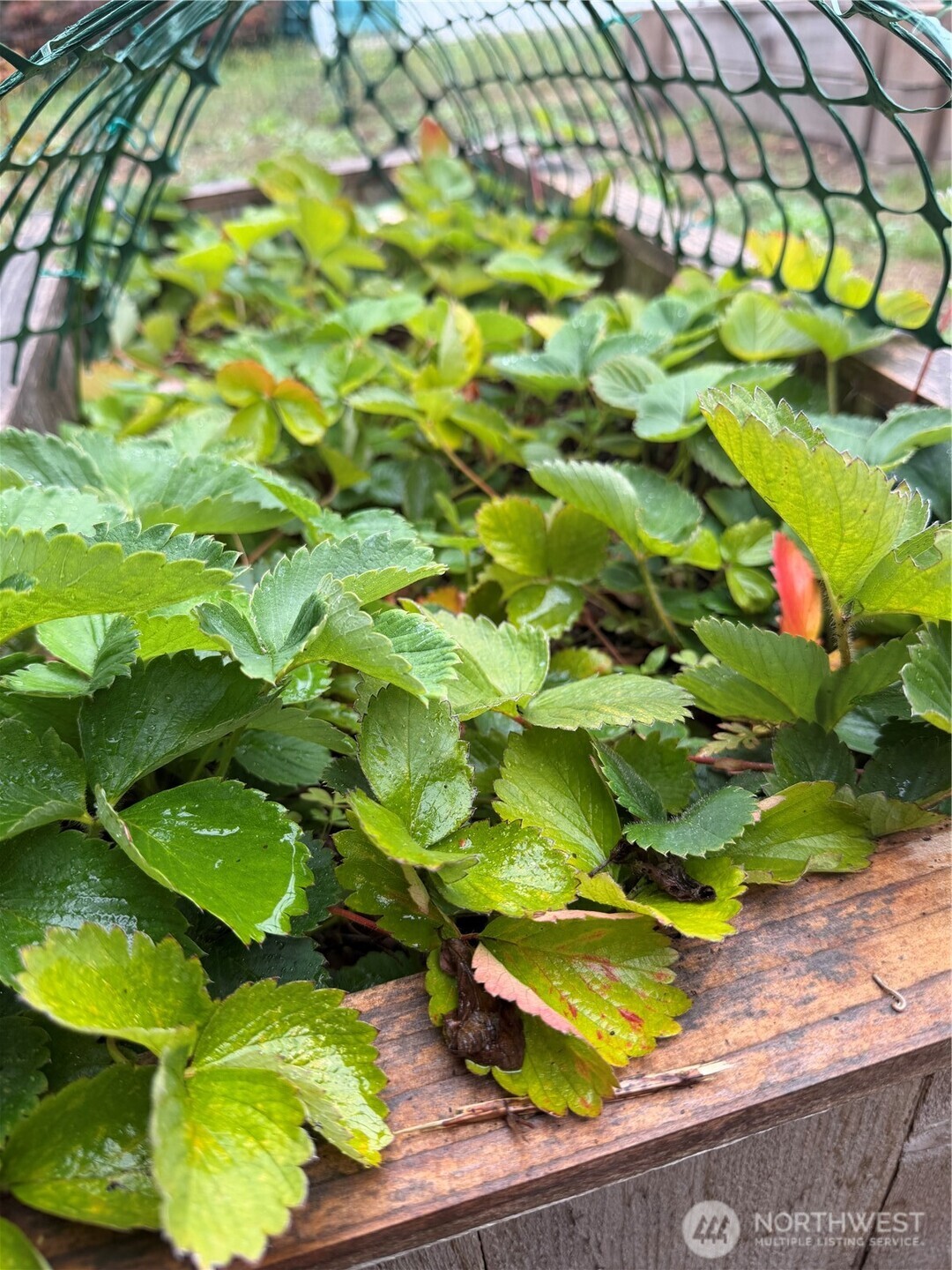 1858 21st Avenue SE