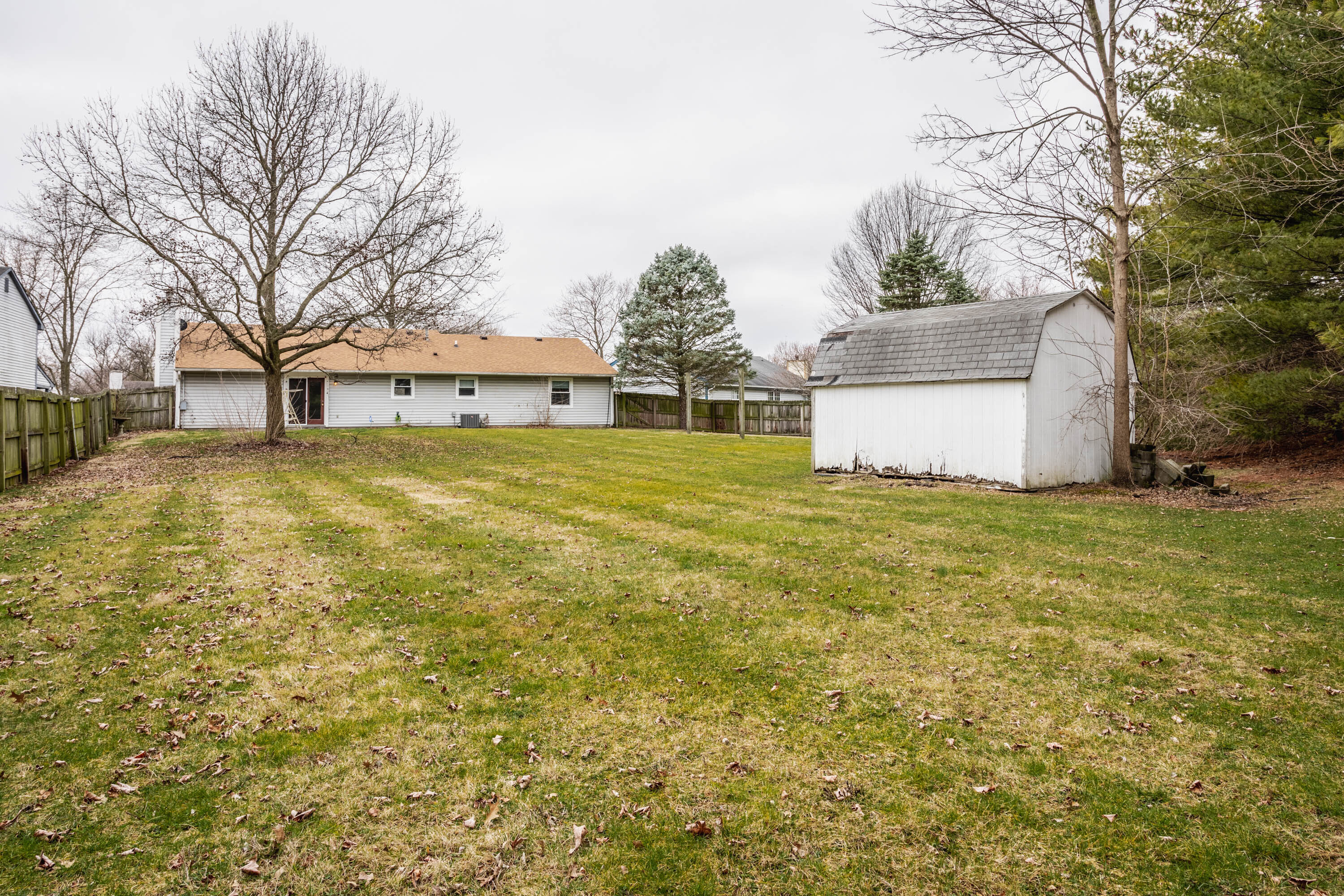 8146 Summertree Court