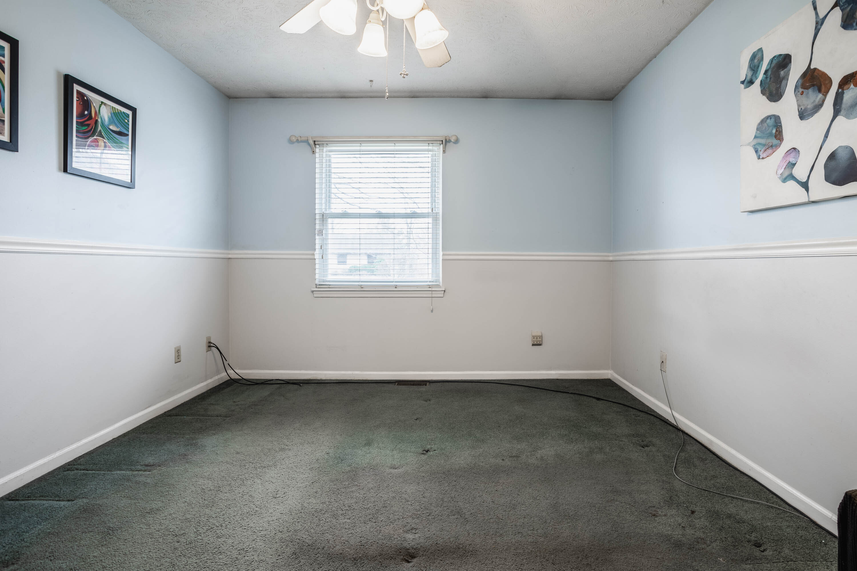 8146 Summertree Court