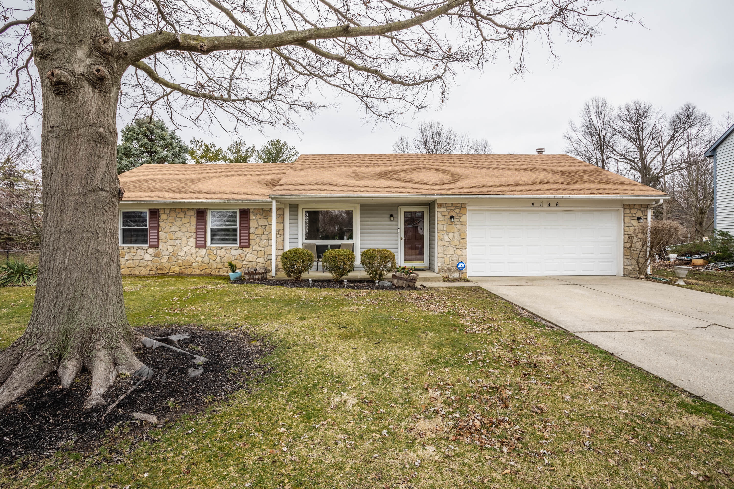 8146 Summertree Court