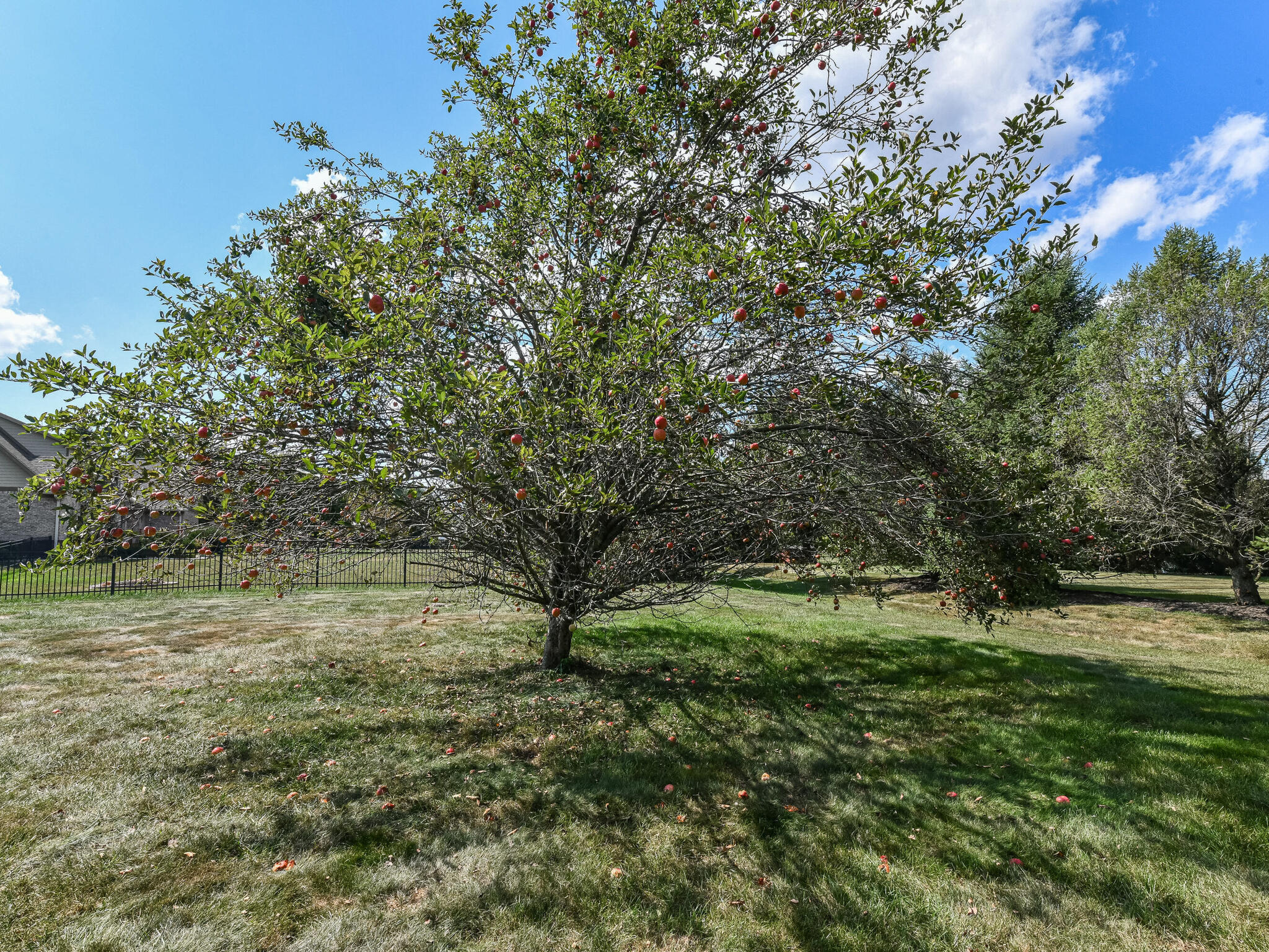 1414 Heather Brooke Lane