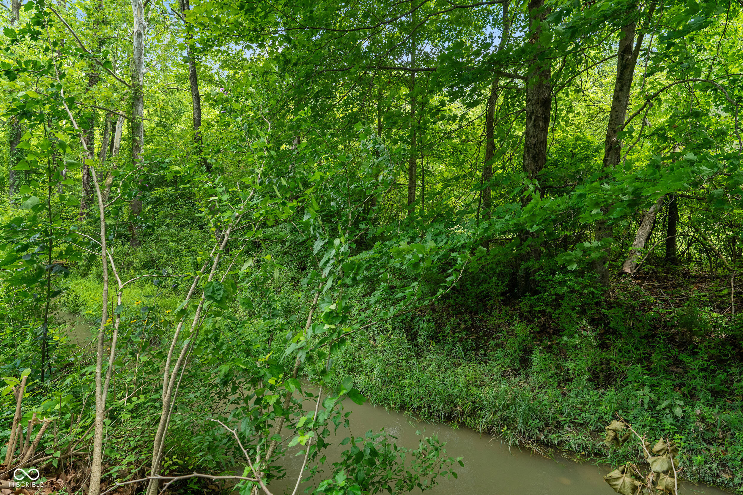 6559 Honeysuckle Lane