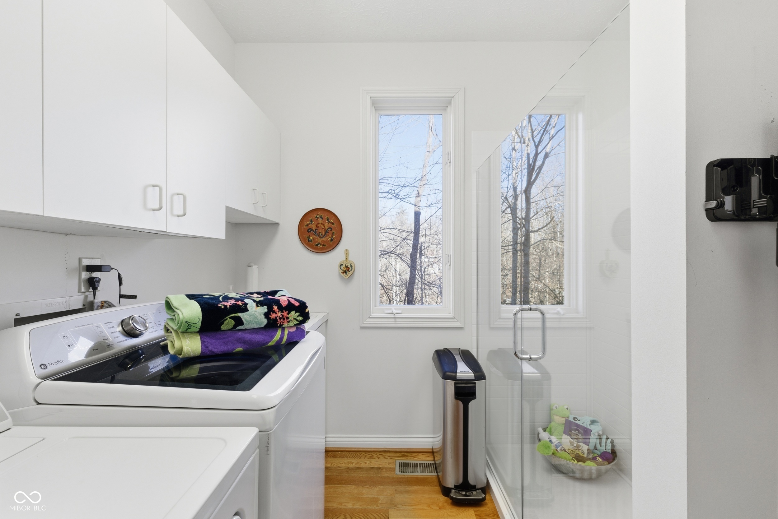 8738 Potters Cove Court