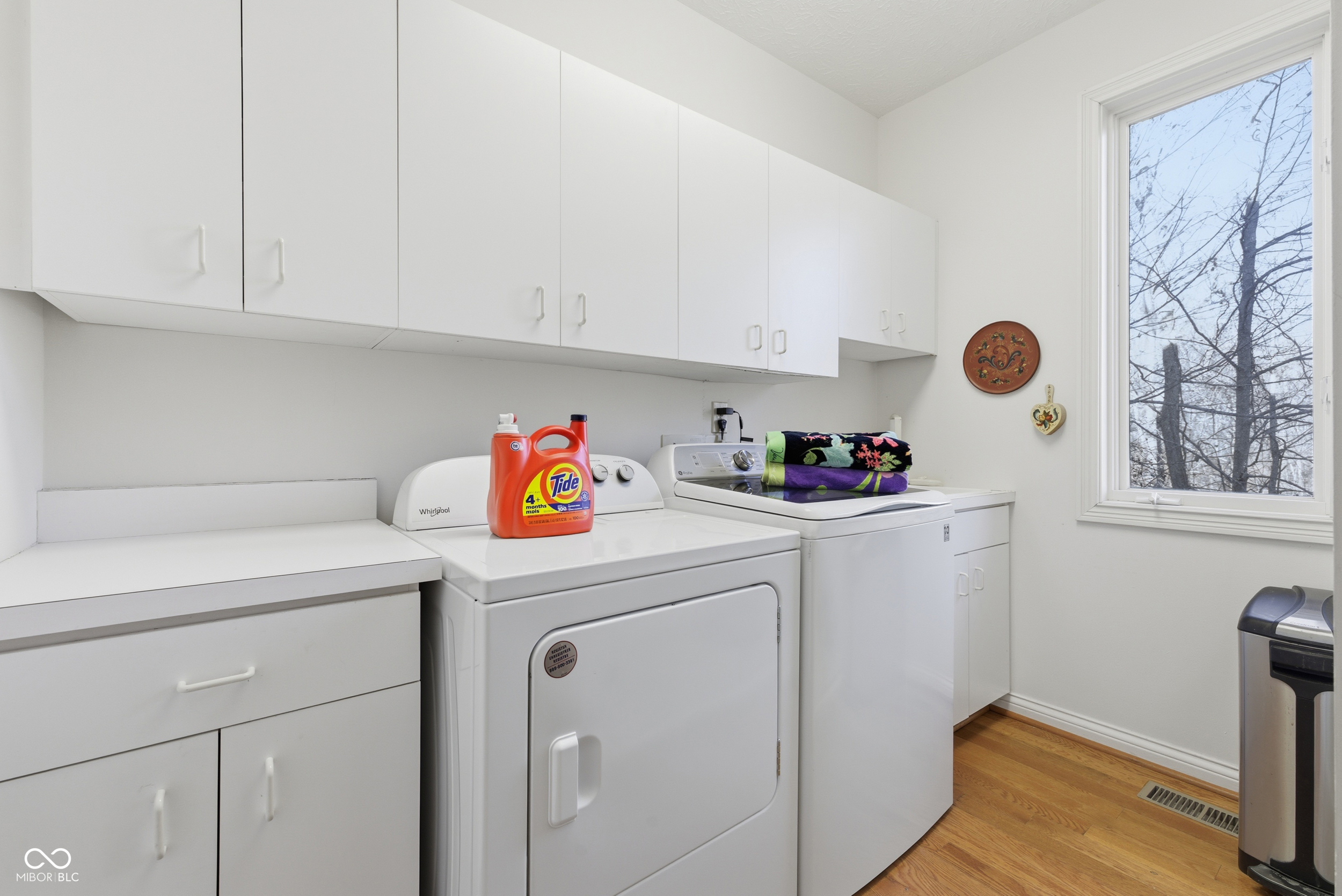 8738 Potters Cove Court