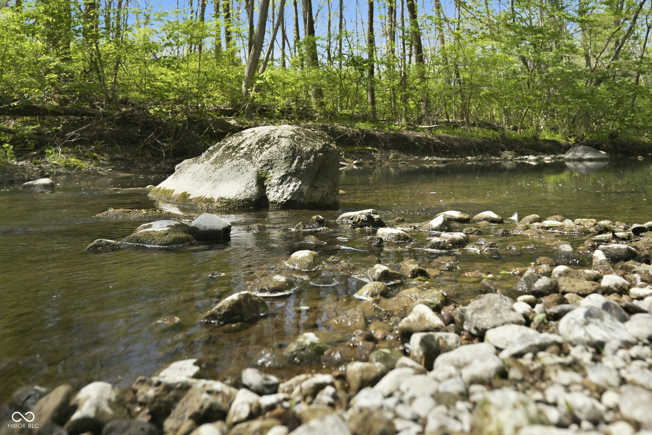 6553 Greyridge Boulevard