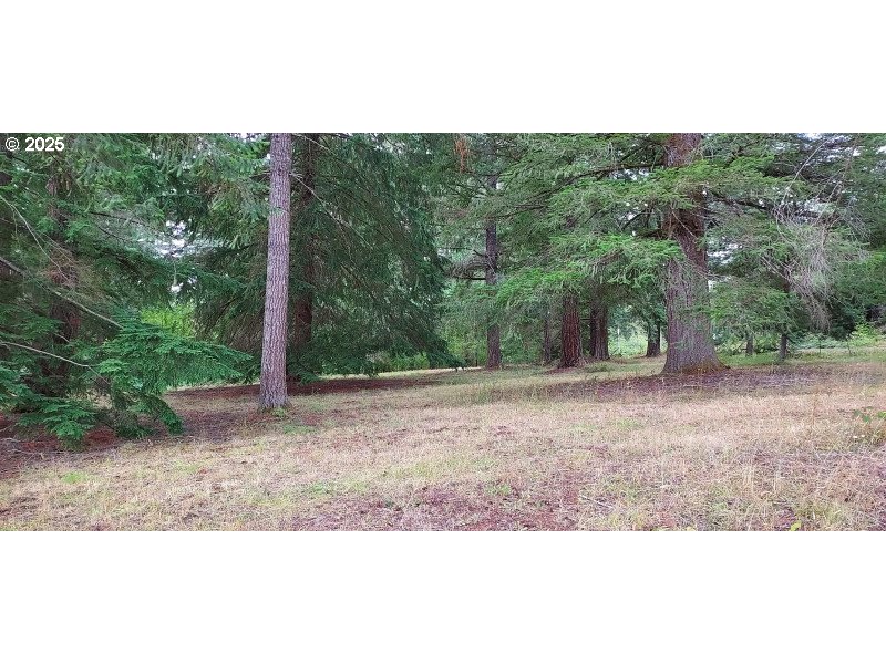 27111 S Hillockburn RD