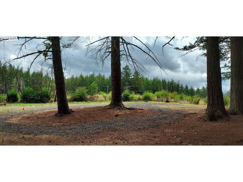 27111 S Hillockburn RD