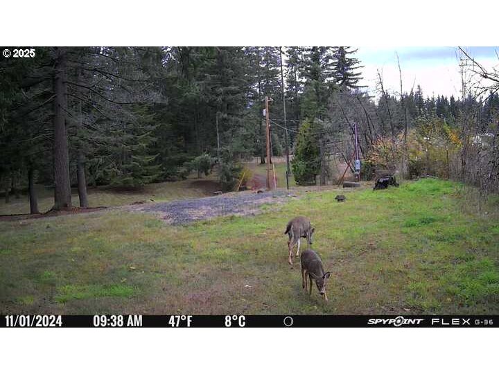 27111 S Hillockburn RD