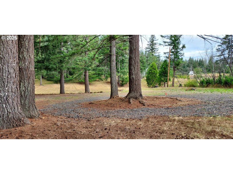 27111 S Hillockburn RD