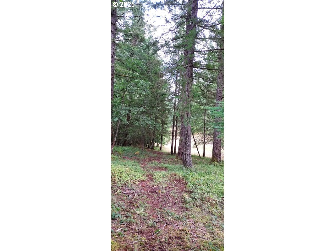 27111 S Hillockburn RD