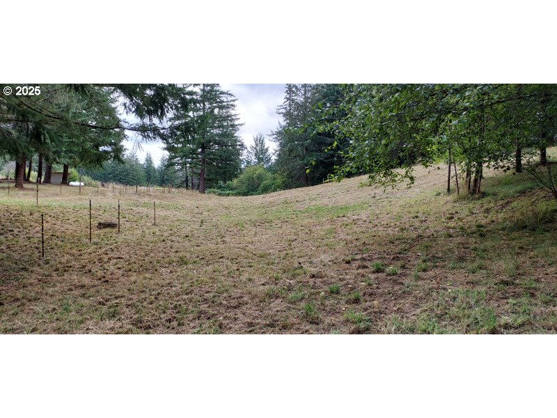 27111 S Hillockburn RD