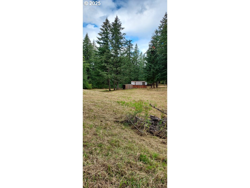 27111 S Hillockburn RD