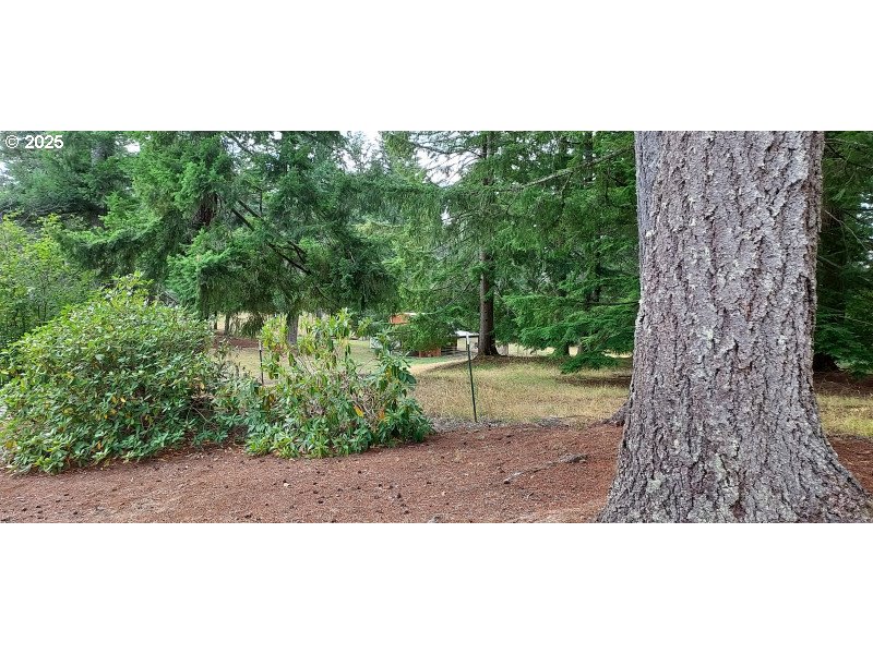 27111 S Hillockburn RD