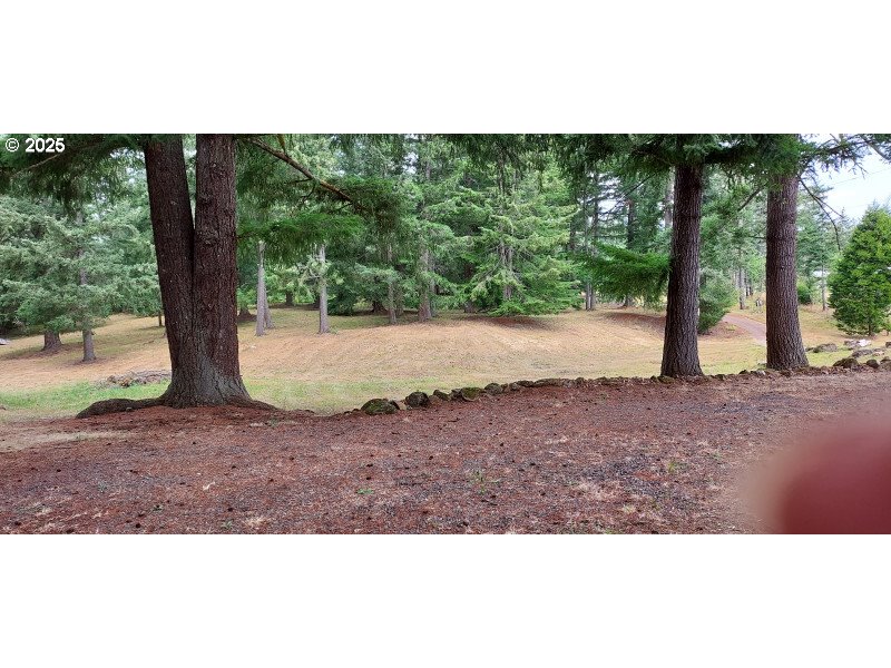 27111 S Hillockburn RD