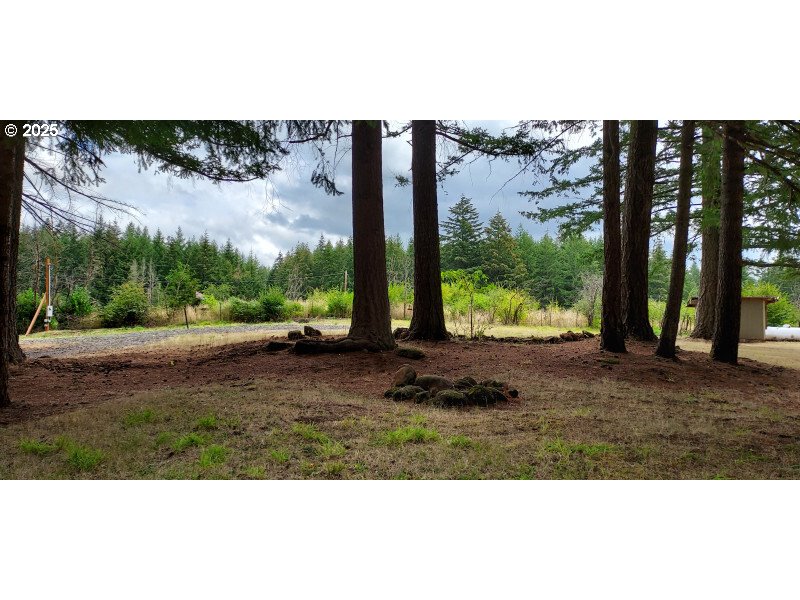 27111 S Hillockburn RD