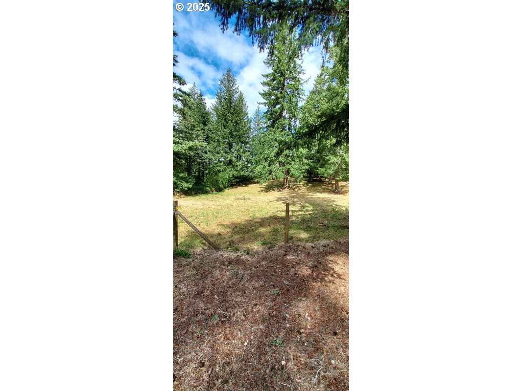 27111 S Hillockburn RD