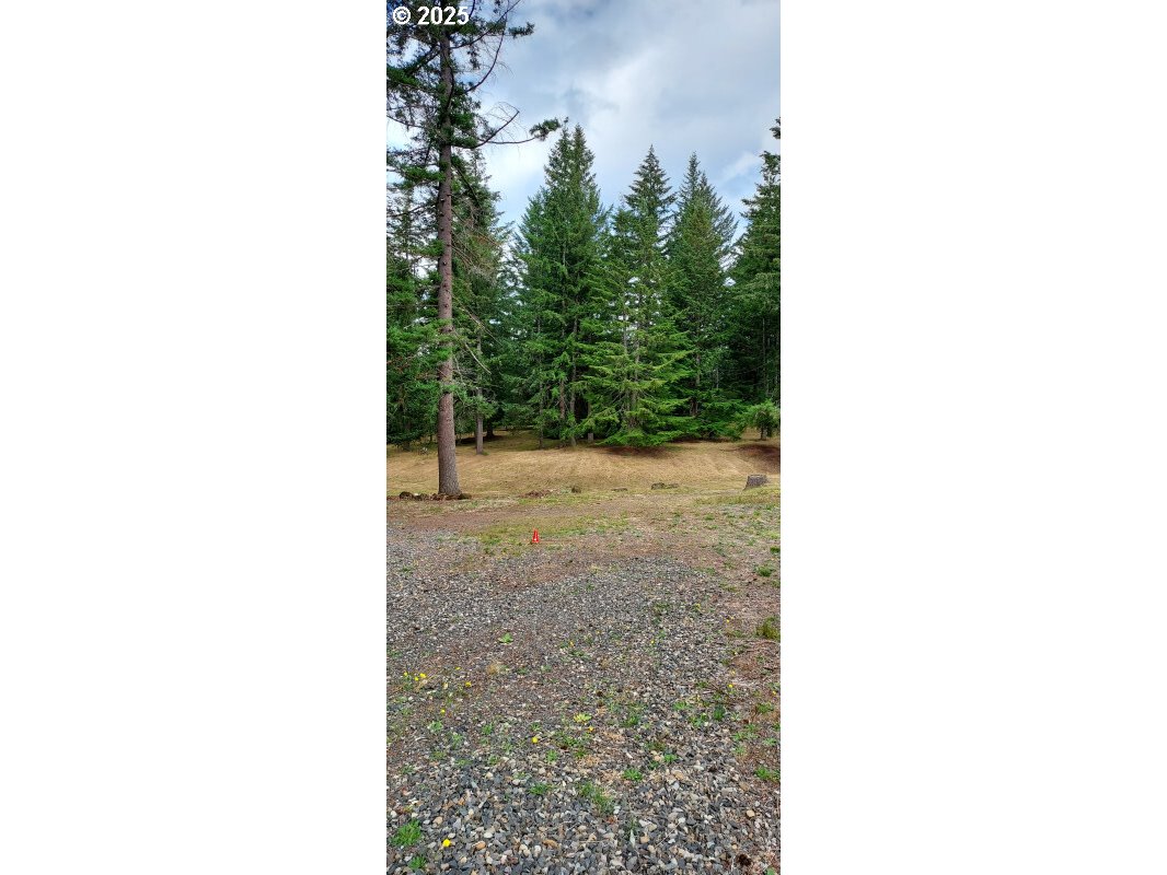 27111 S Hillockburn RD