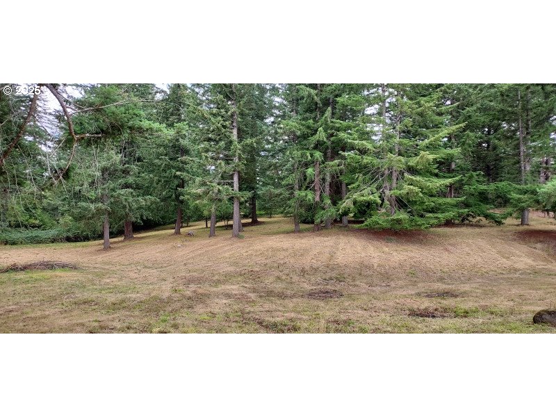 27111 S Hillockburn RD