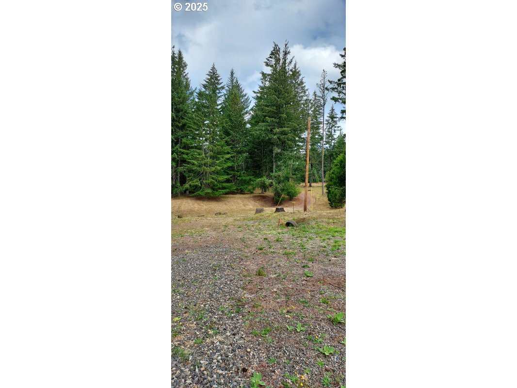 27111 S Hillockburn RD