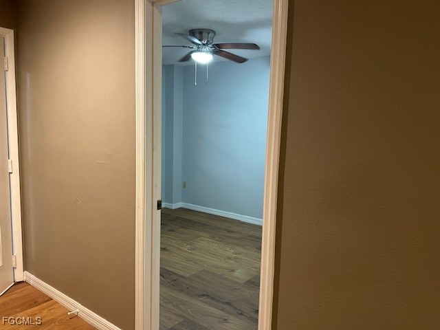 6786 Autumn CT