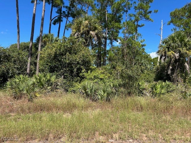 675 Nassau CIR