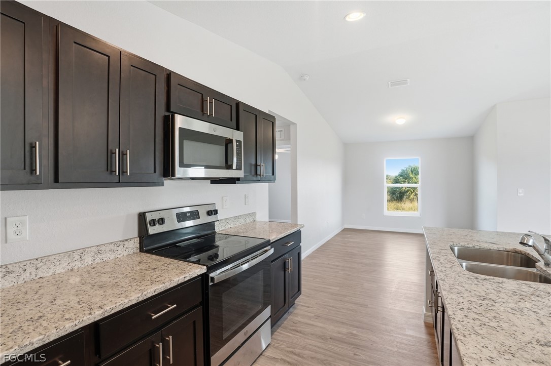 3110 Kapok CIR