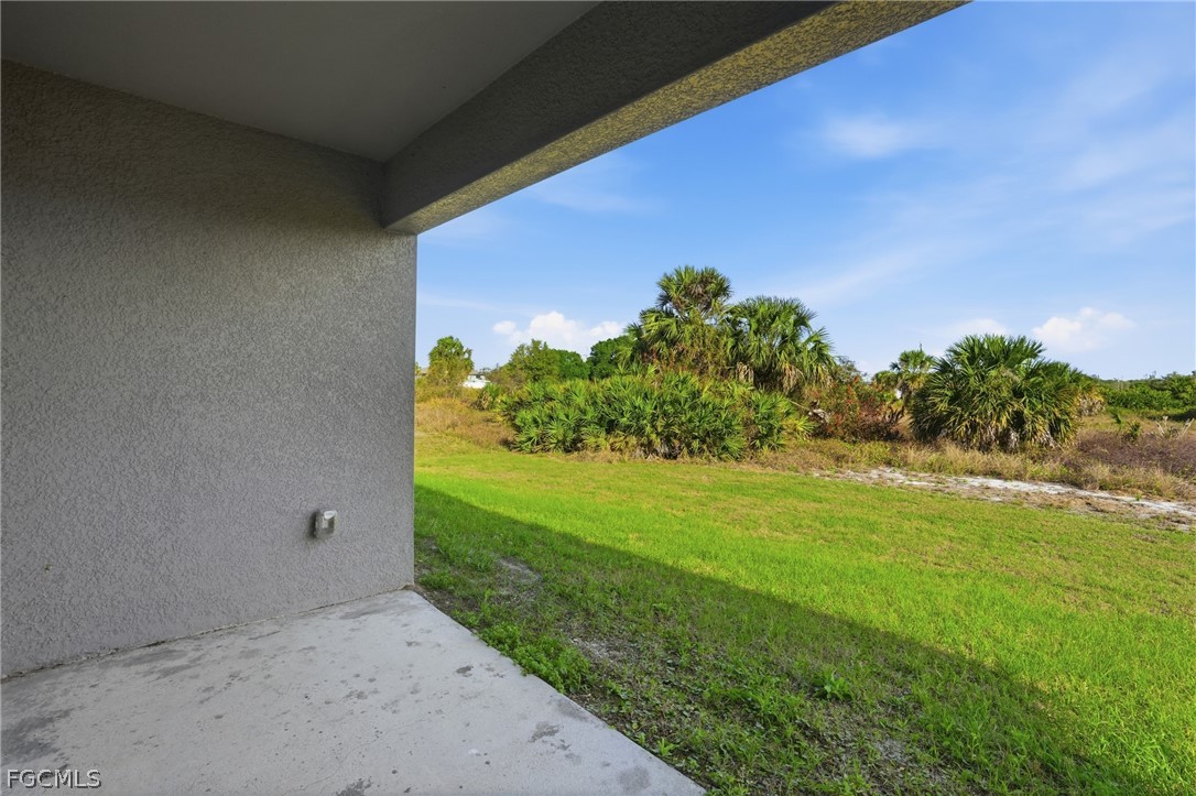 3110 Kapok CIR