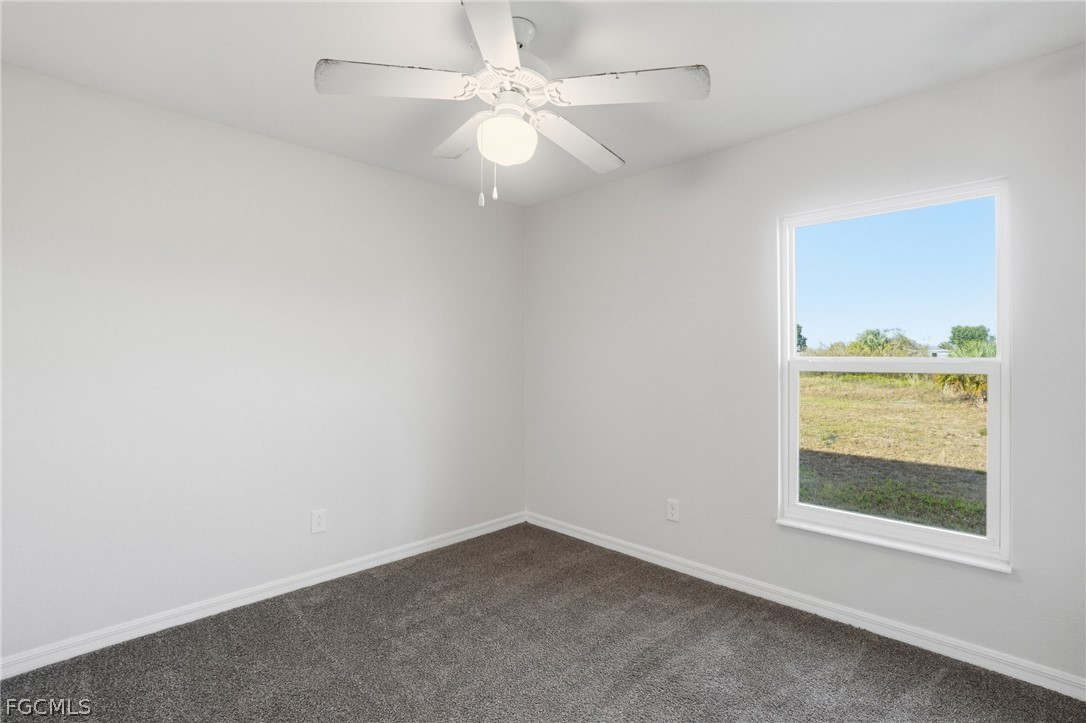 3110 Kapok CIR