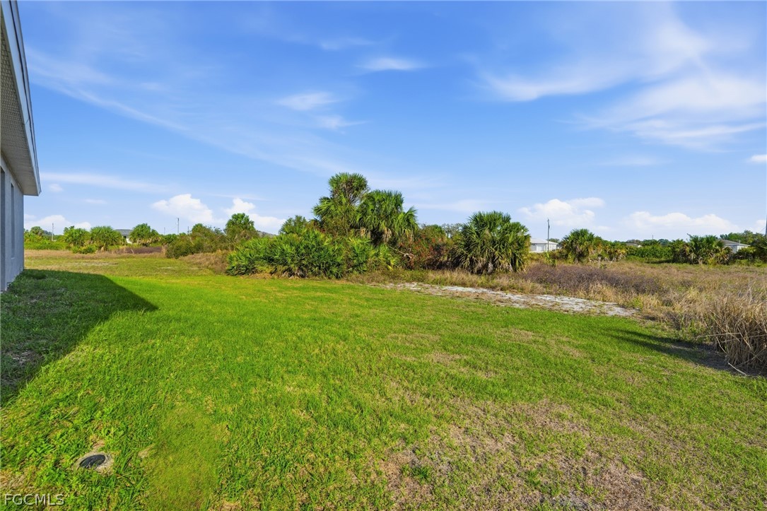 3110 Kapok CIR