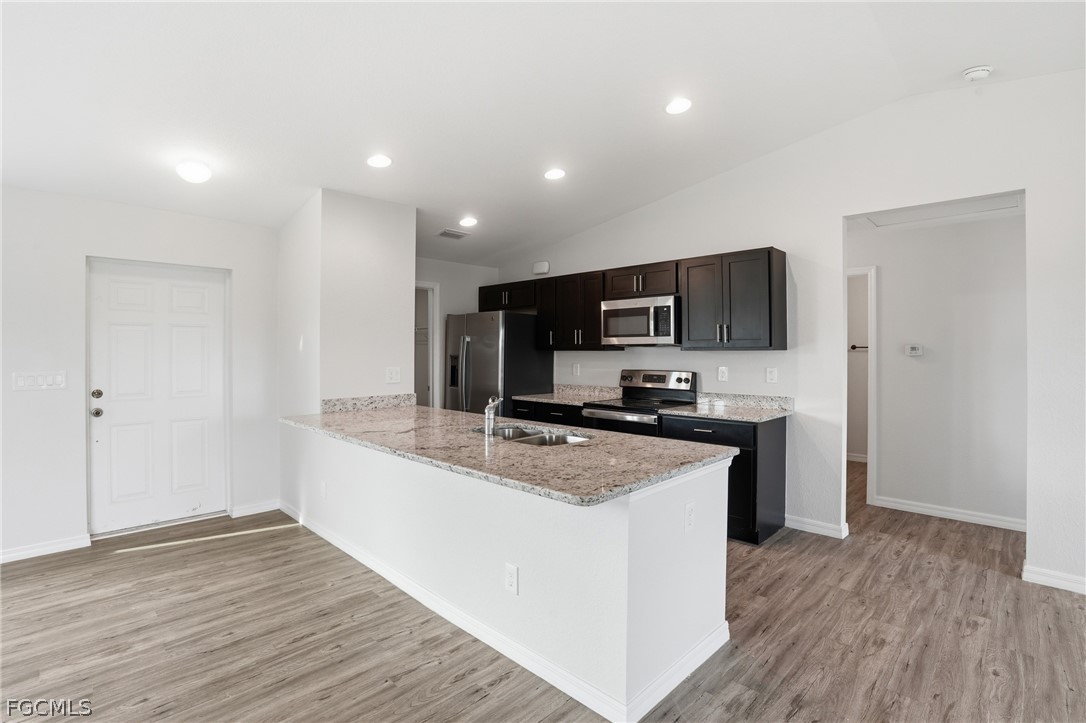 3110 Kapok CIR