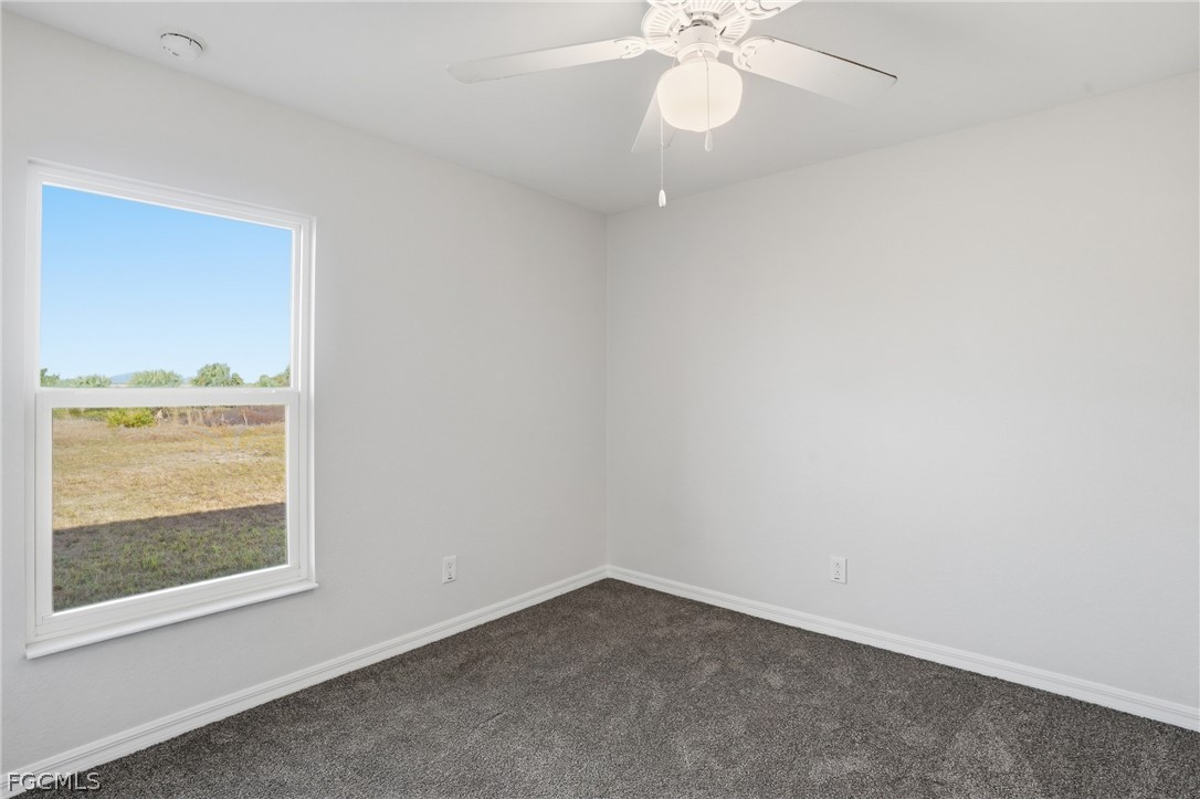 3110 Kapok CIR