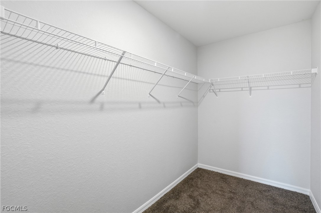 3110 Kapok CIR