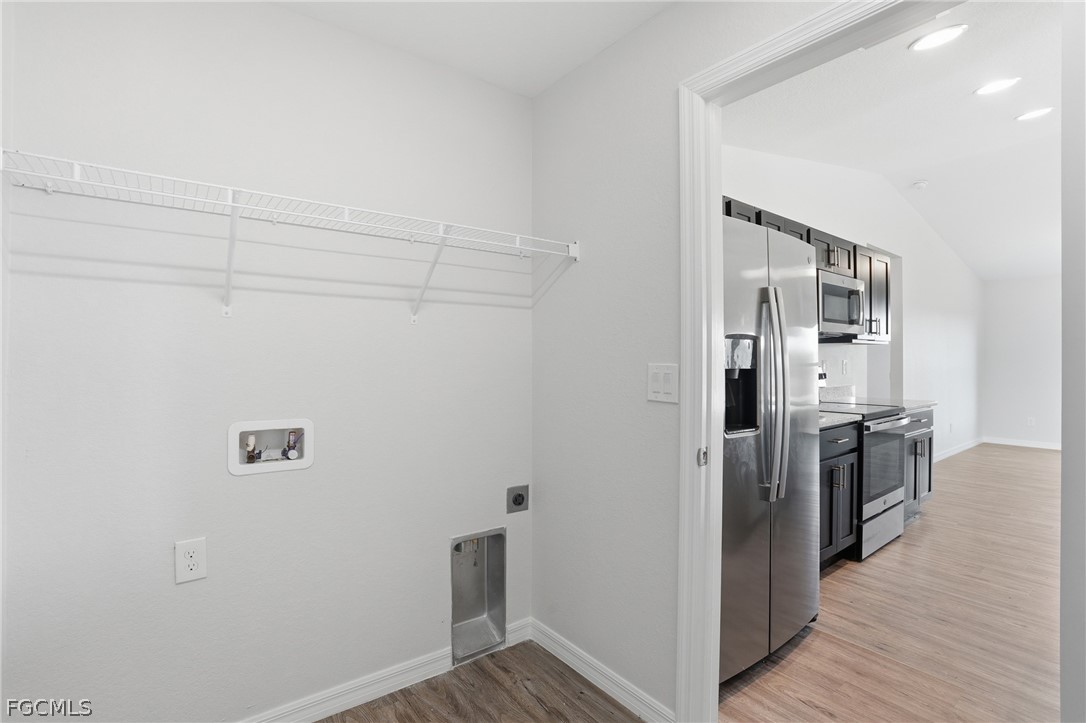 3110 Kapok CIR