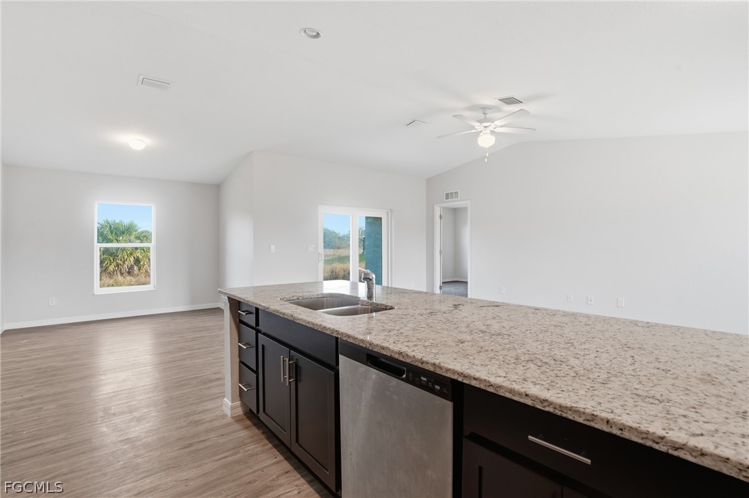 3110 Kapok CIR