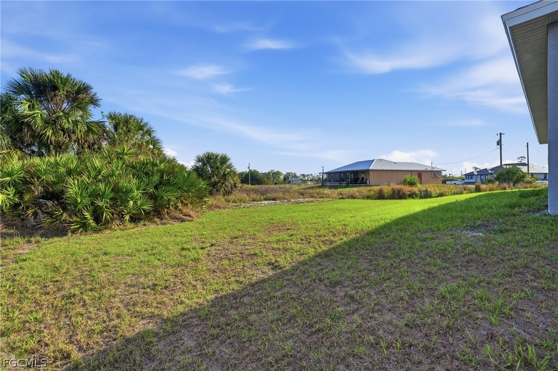3110 Kapok CIR