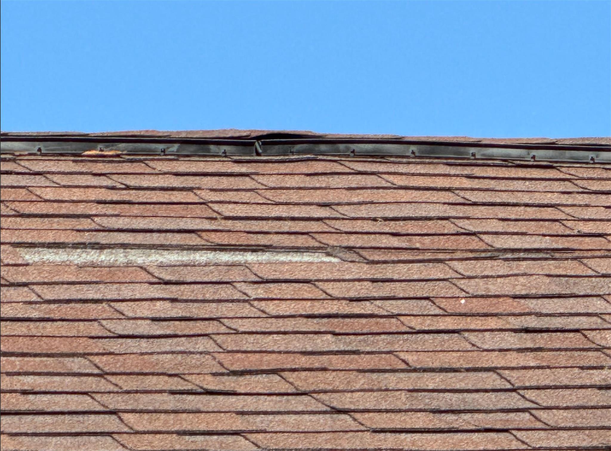 913 Southampton Street