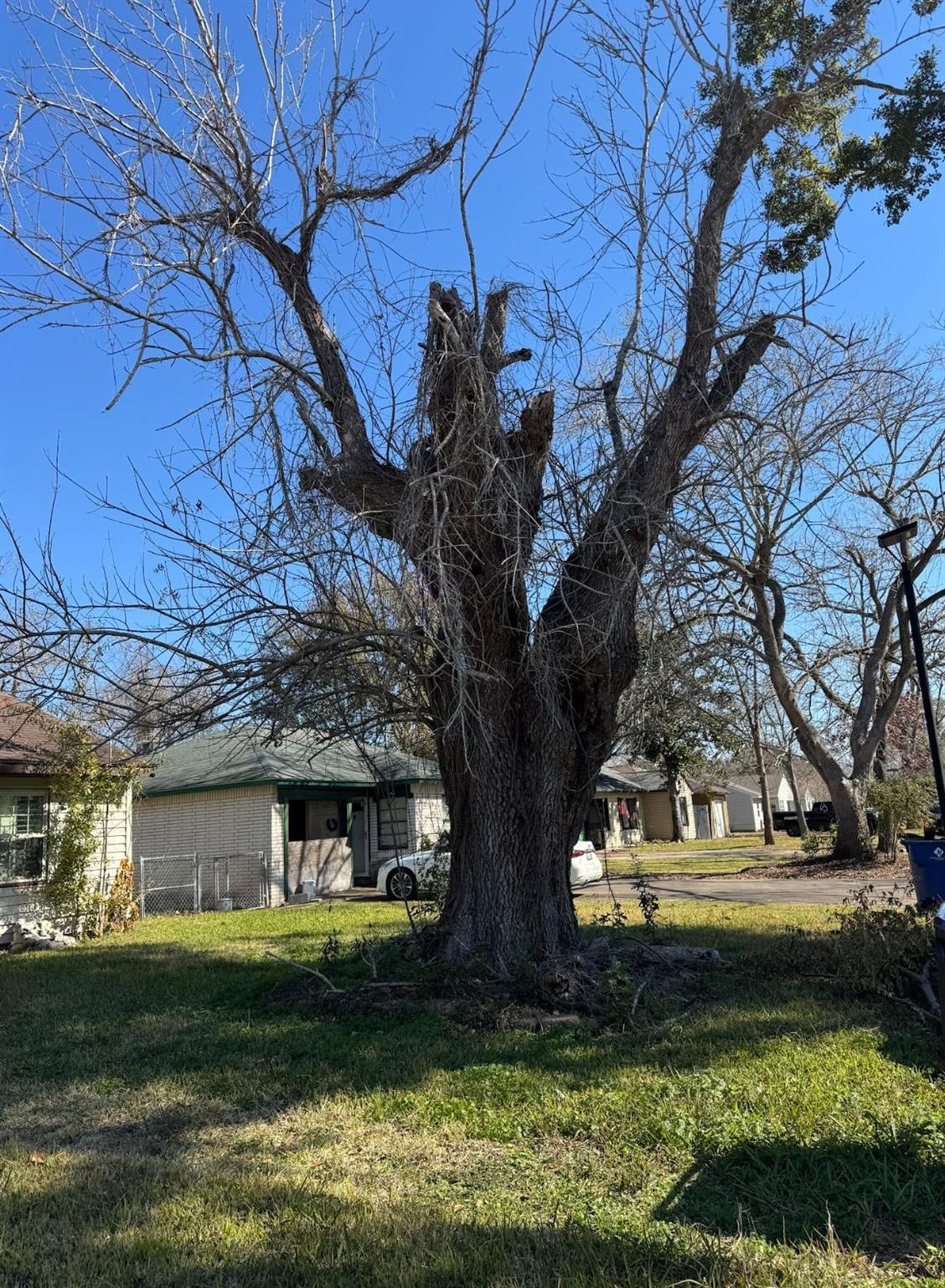 913 Southampton Street