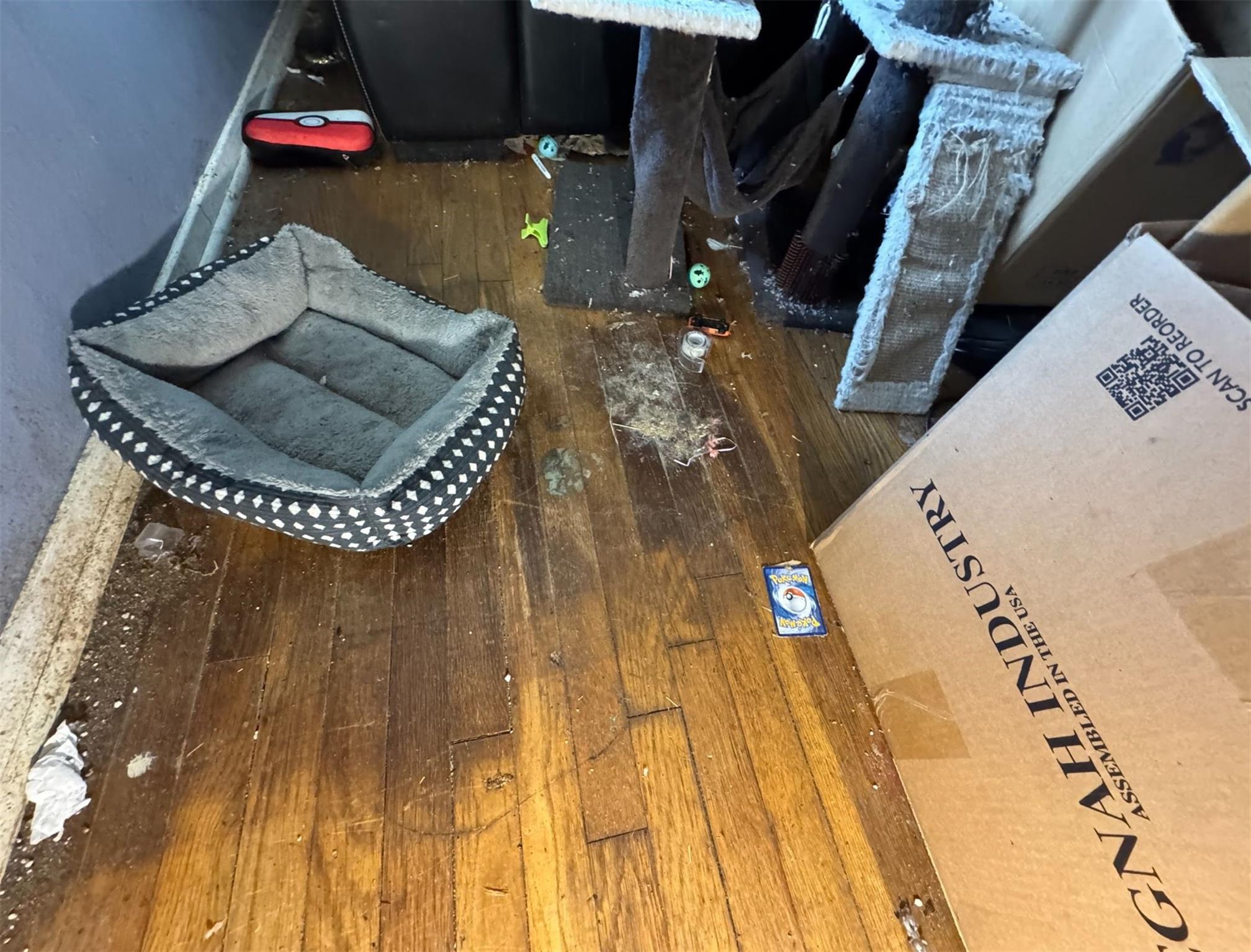 913 Southampton Street