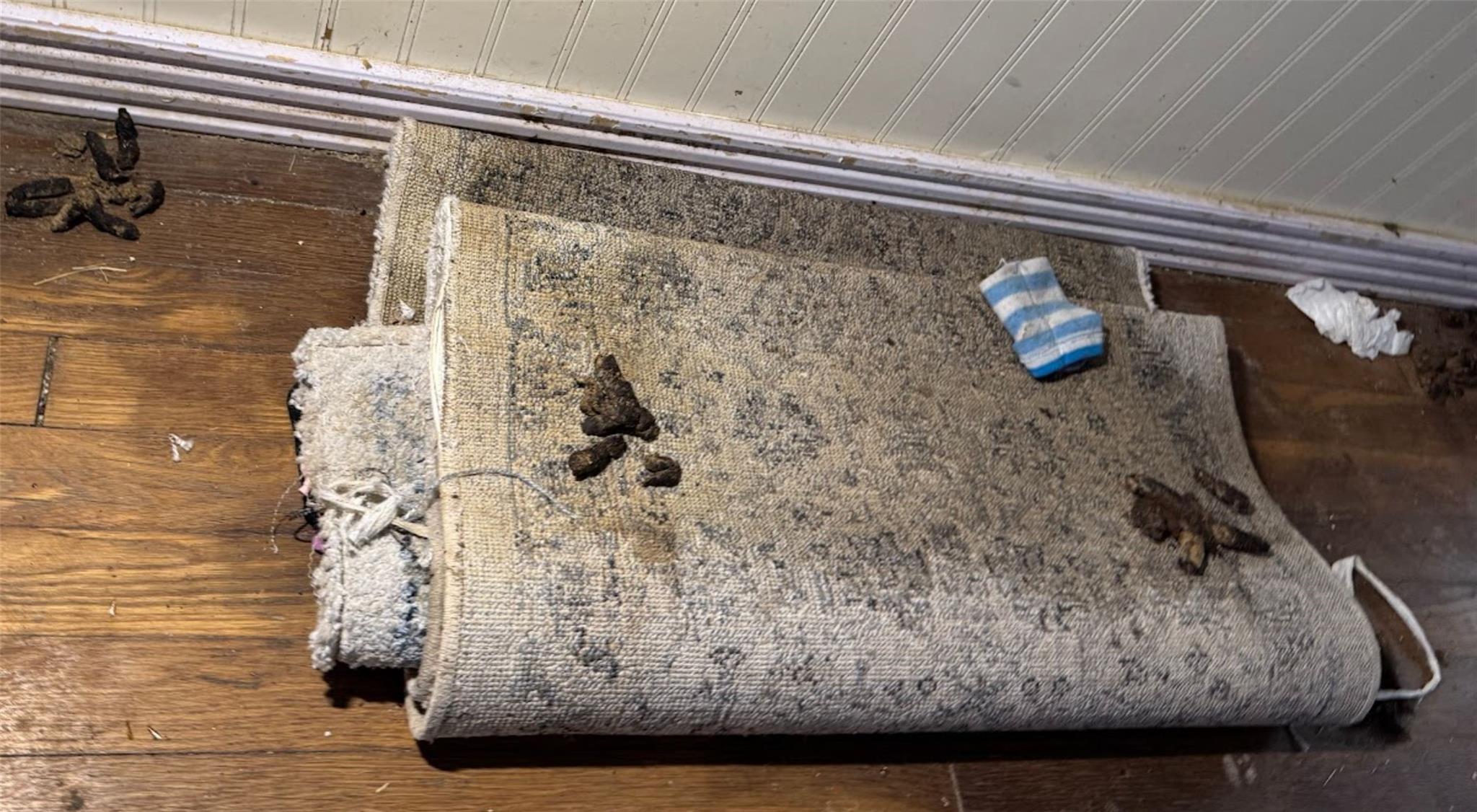 913 Southampton Street