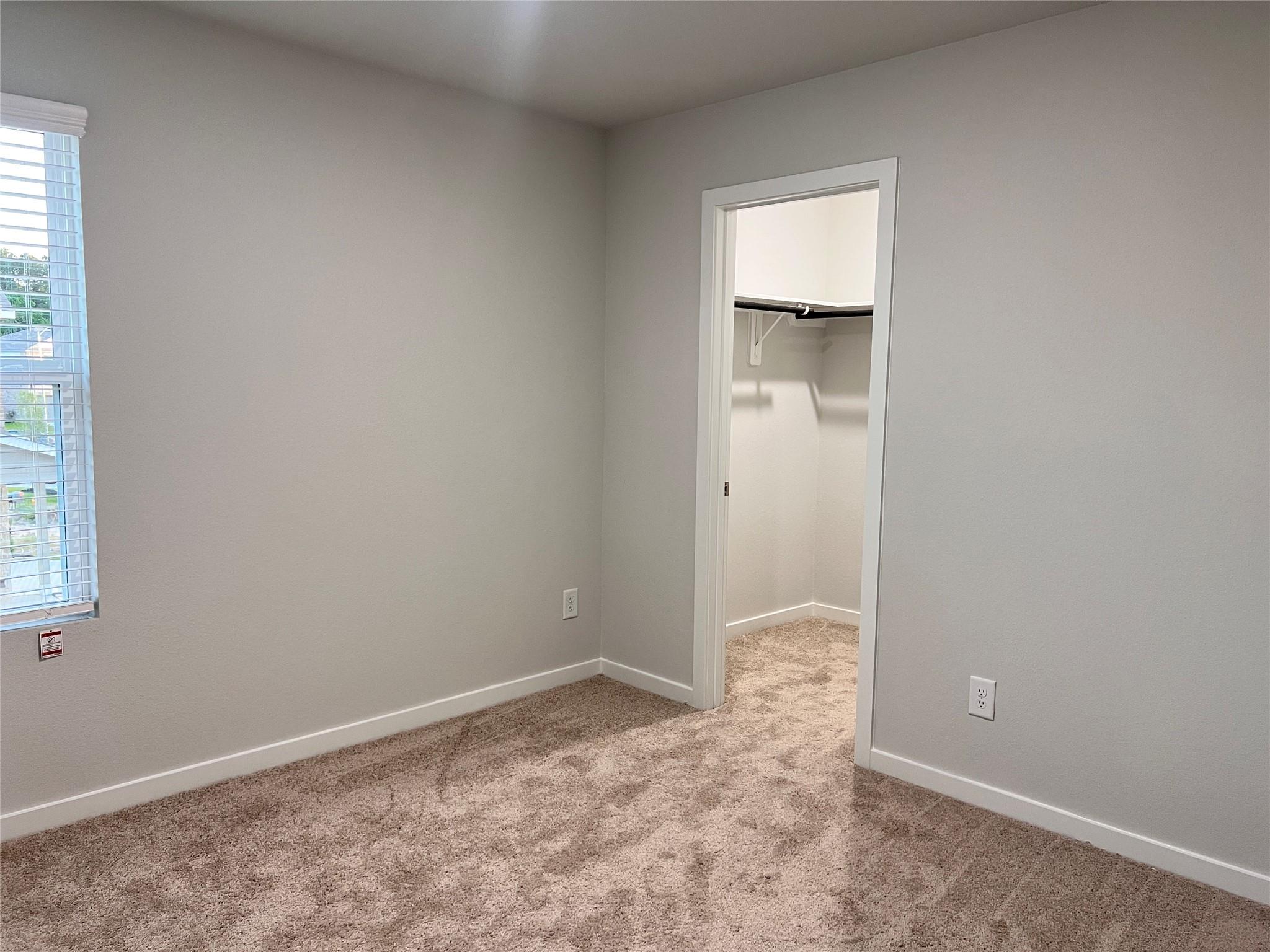 211 Brazen Forest Trail