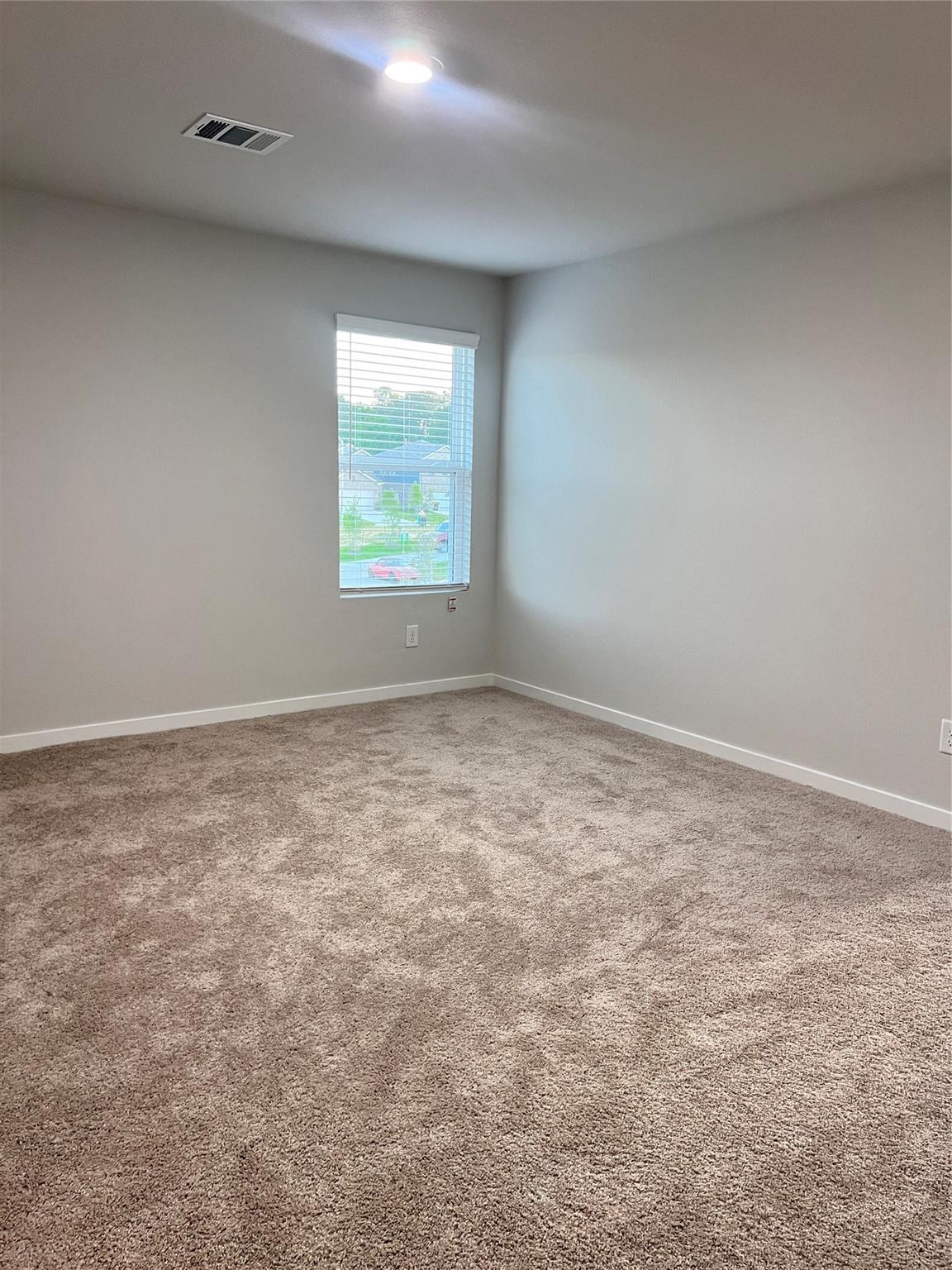 211 Brazen Forest Trail