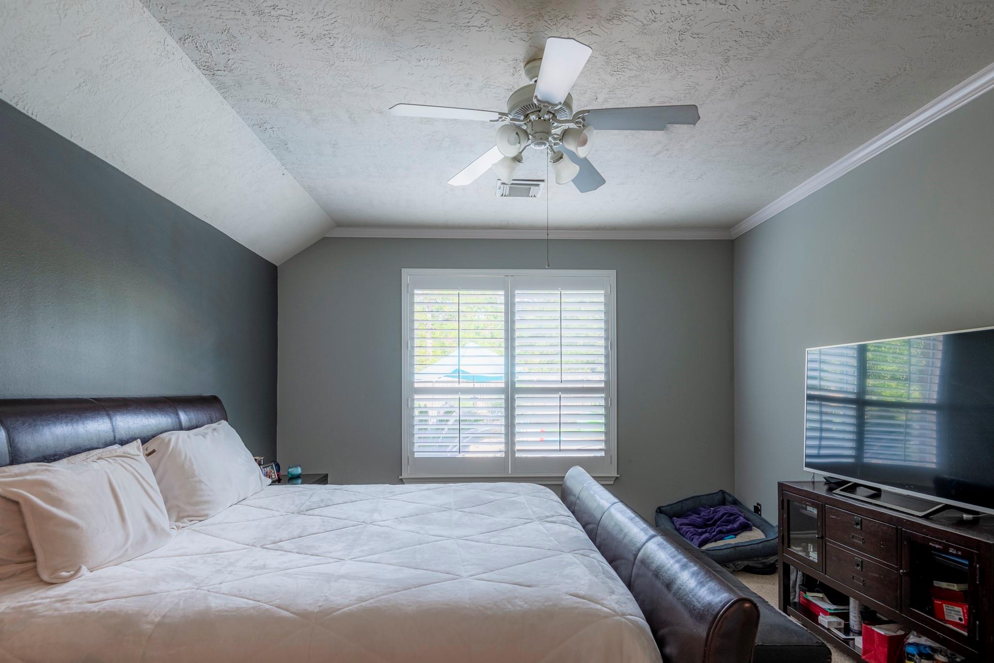 10 Delphinium Place