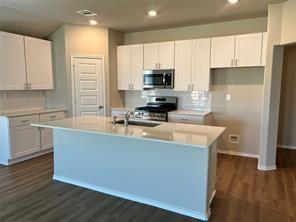 252 Gallant Front Trl, Magnolia, Tx 77354